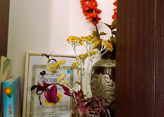 оазис 1 във * Varna