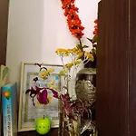 оазис 1 във * Warna