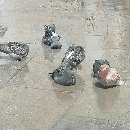 оазис 1 във Apartament Varna